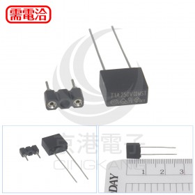 方形保險絲 T1A250VCQMST (含座)