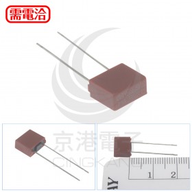 392慢熔方形保險絲 250V 1A (2PCS/包)