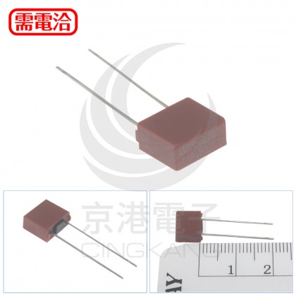 392慢熔方形保險絲 250V 1A (2PCS/包)
