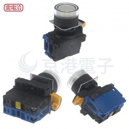 OMRON A22NL-BGM-TWA-G100-YE