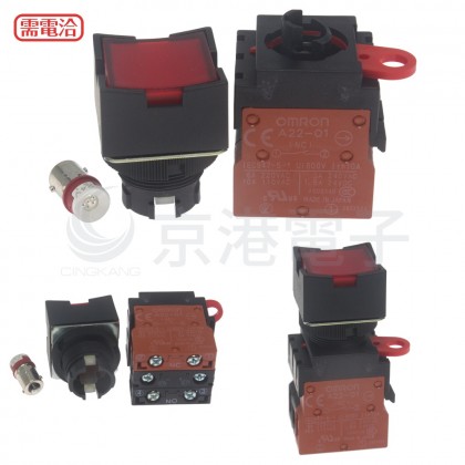 OMRON A22L-DR-24A-11M